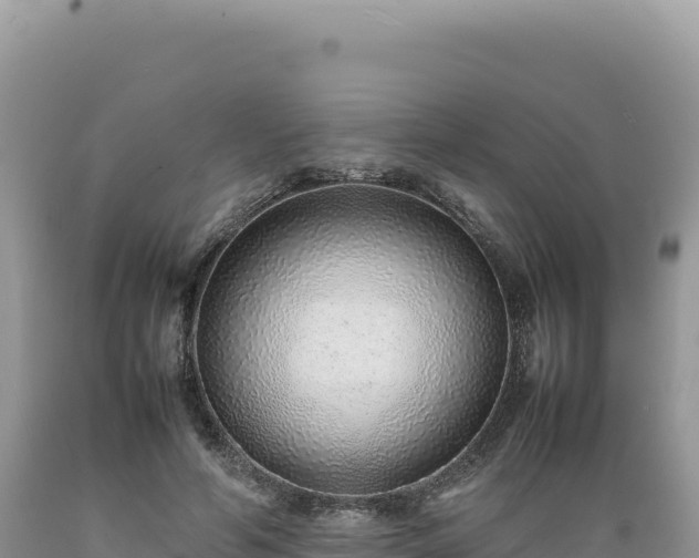 X0000089360594200706221202