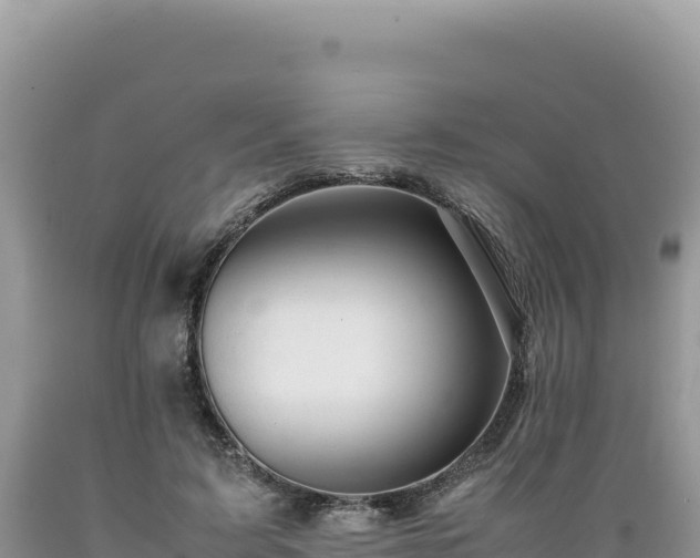 X0000089360595200706221201