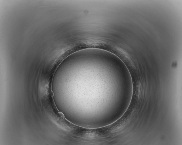 X0000089360596200706221201