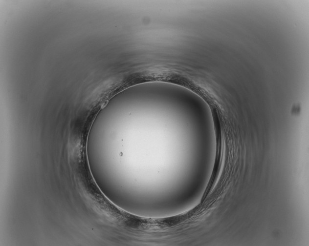 X0000089360597200706221201