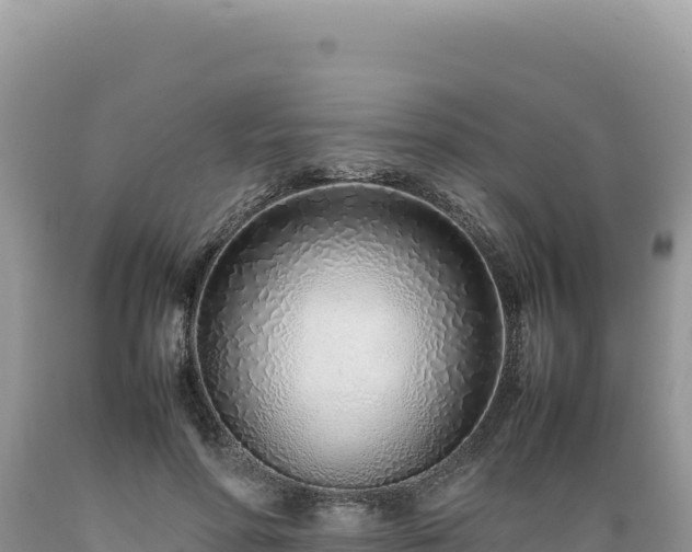 X0000089360598200706221201