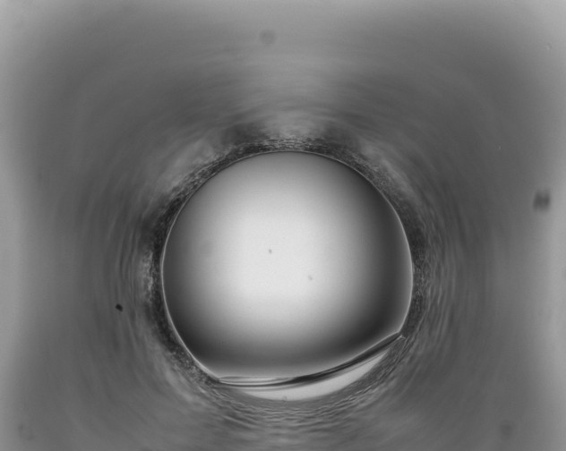 X0000089360599200706221201