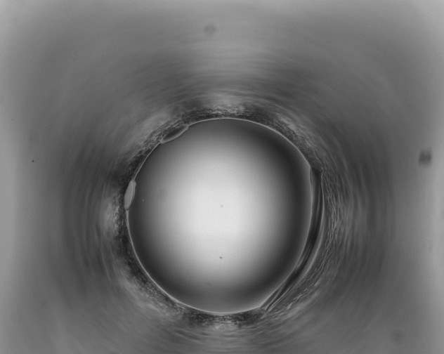 X0000089360600200706221201
