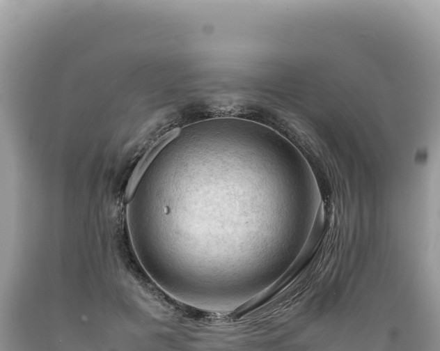 X0000089360601200706221201