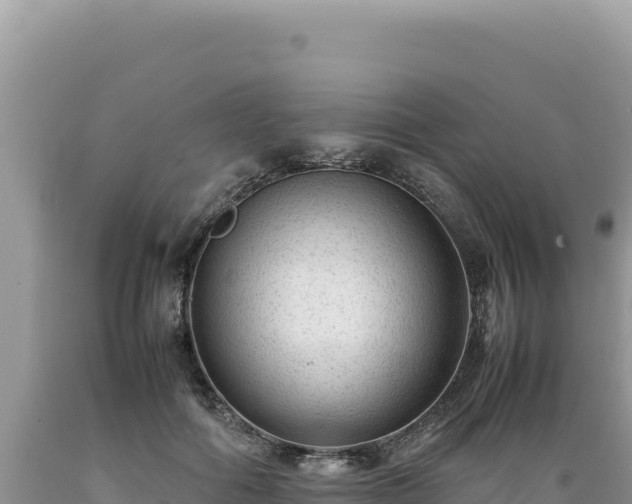 X0000089360602200706221201