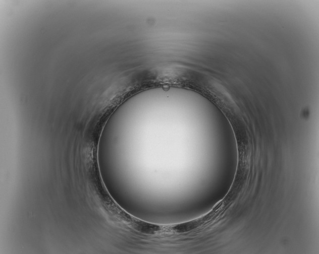 X0000089360603200706221201