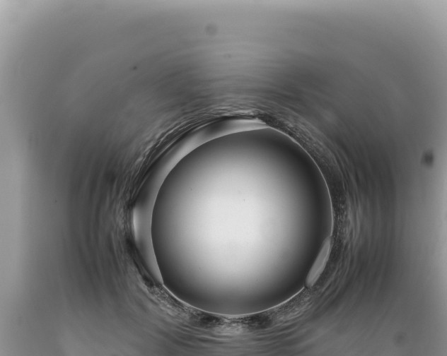 X0000089360604200706221201