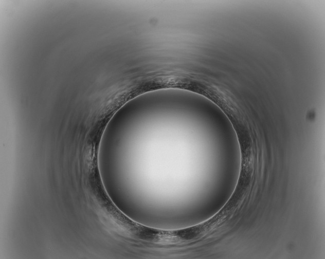 X0000089360605200706221201