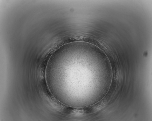X0000089360606200706221201
