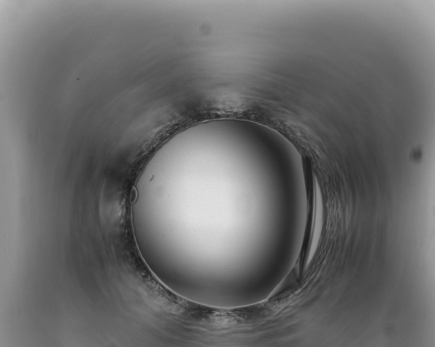 X0000089360608200706221201