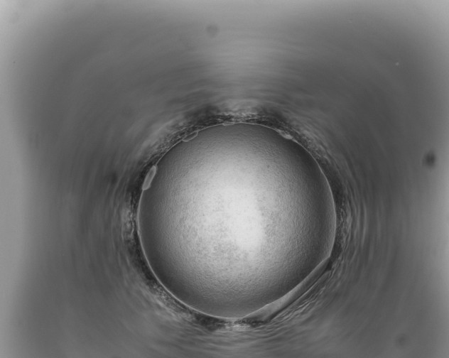 X0000089360609200706221201