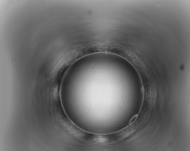 X0000089360610200706221201