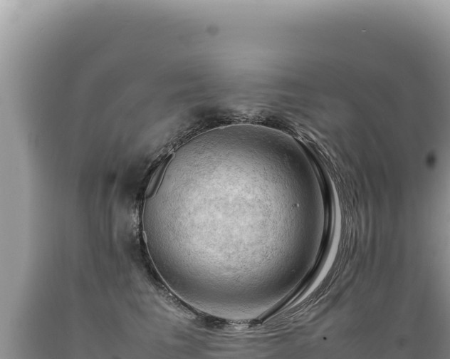 X0000089360613200706221201