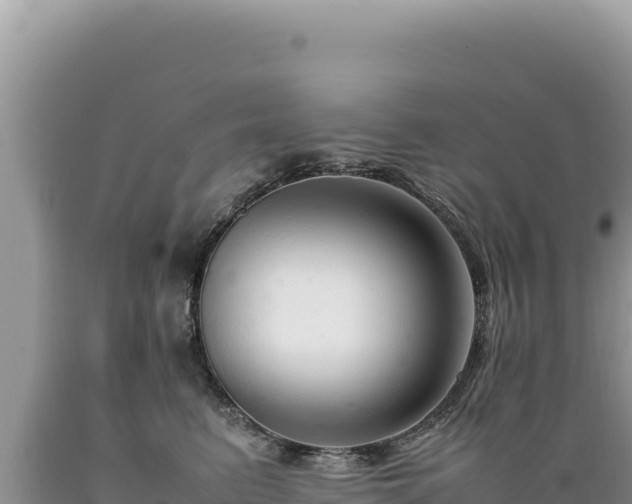 X0000089360615200706221201