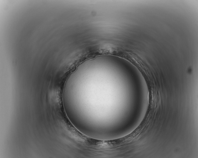 X0000089360616200706221201