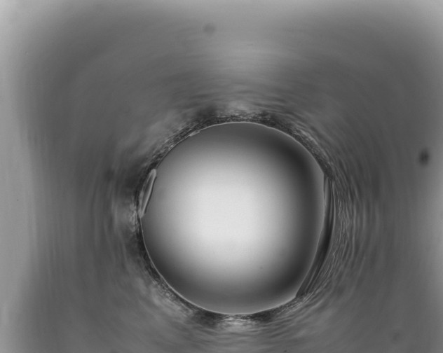 X0000089360617200706221201