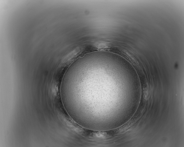 X0000089360618200706221201