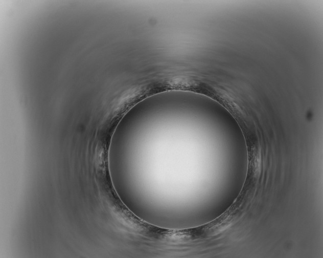 X0000089360619200706221201