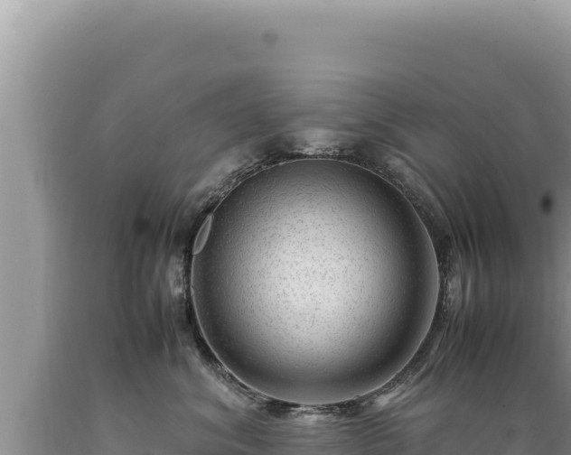 X0000089360620200706221201