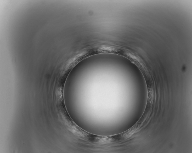 X0000089360621200706221201