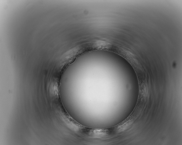 X0000089360622200706221201