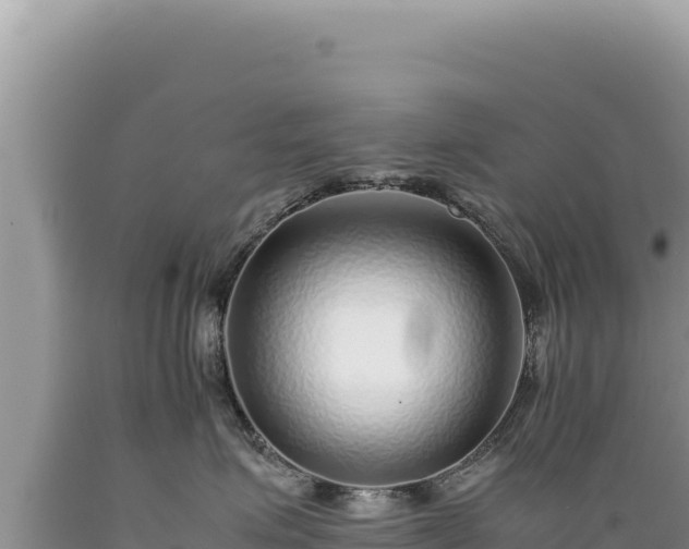X0000089360623200706221201