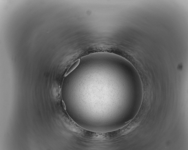 X0000089360624200706221201