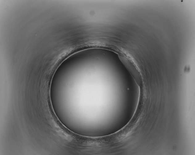 X0000089360625200706221200