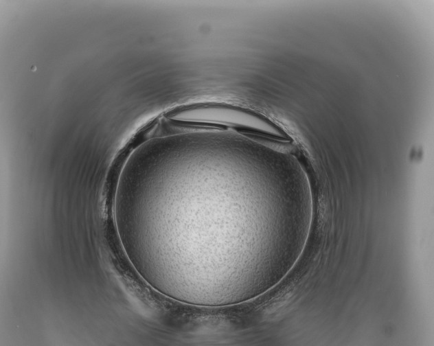 X0000089360628200706221200