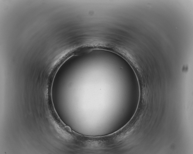 X0000089360629200706221200