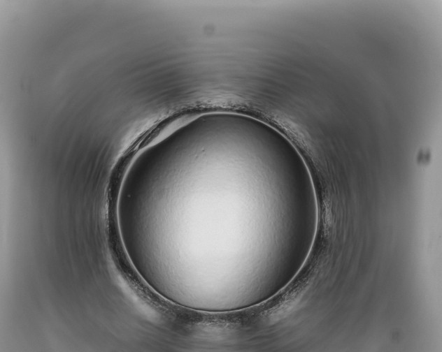 X0000089360630200706221200