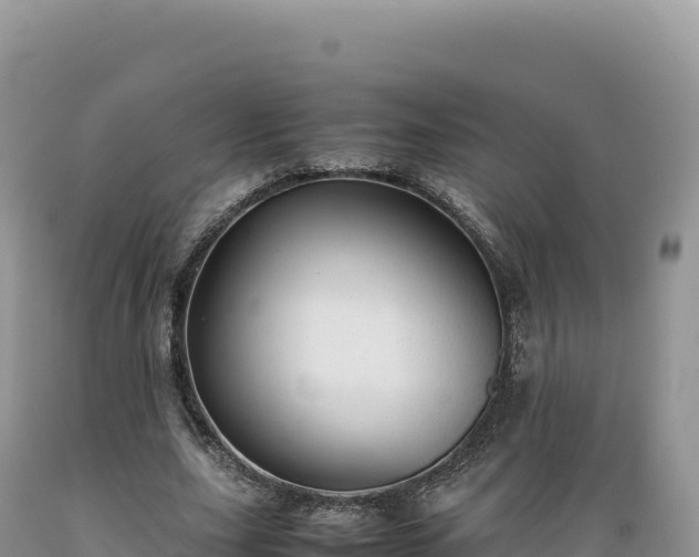 X0000089360631200706221200