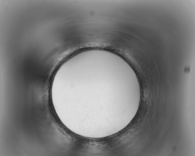 X0000089360632200706221200