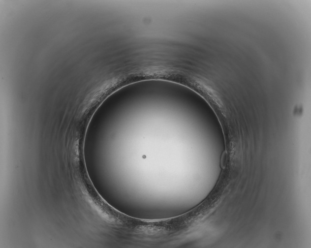 X0000089360633200706221200