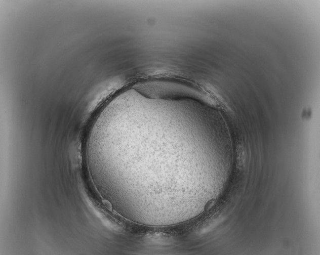 X0000089360634200706221200