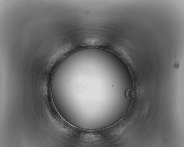 X0000089360635200706221200