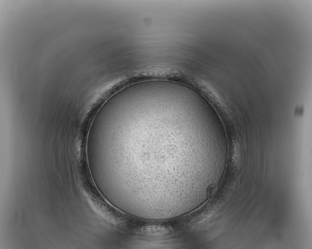 X0000089360636200706221200