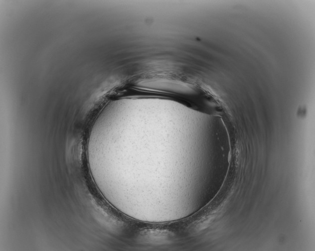 X0000089360637200706221201