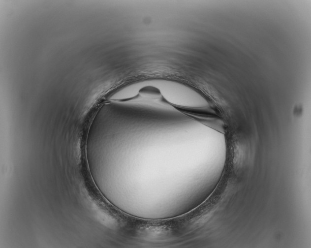 X0000089360638200706221201