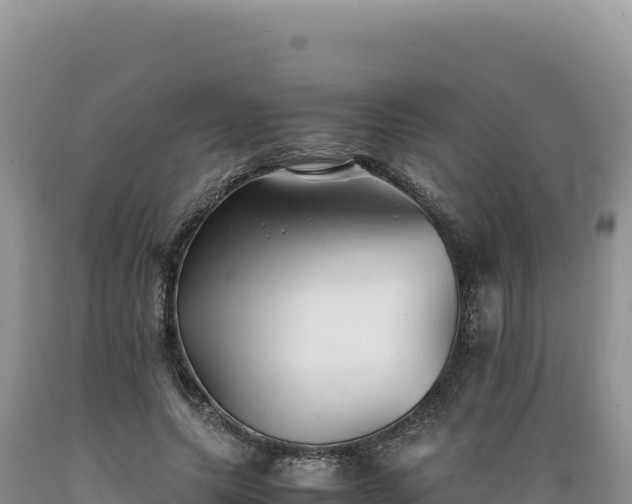 X0000089360639200706221201