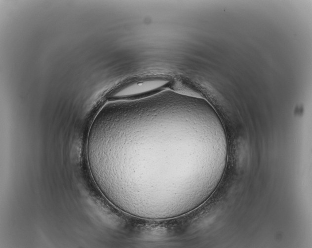 X0000089360640200706221201