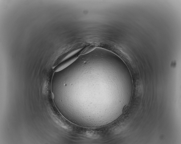 X0000089360641200706221201