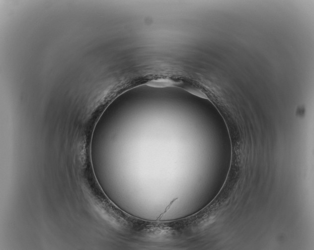 X0000089360642200706221201