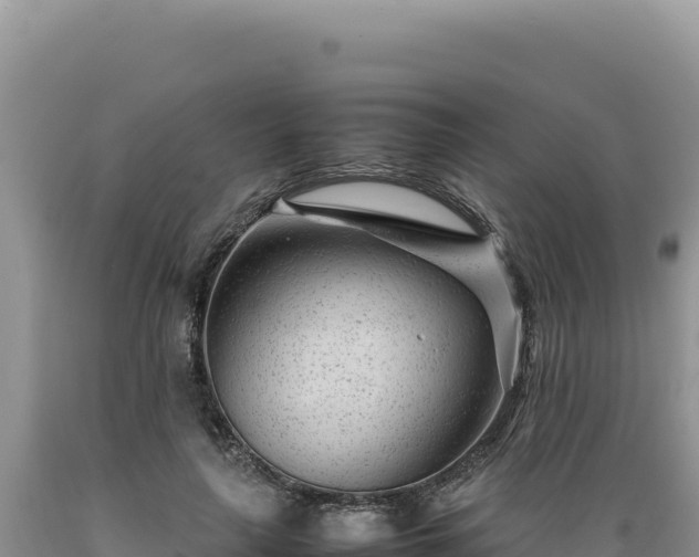 X0000089360643200706221201