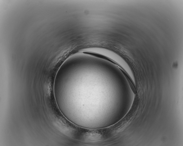 X0000089360644200706221201