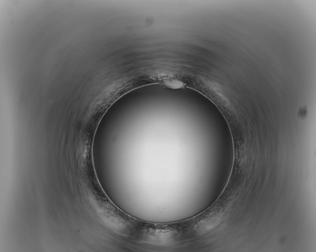 X0000089360645200706221201