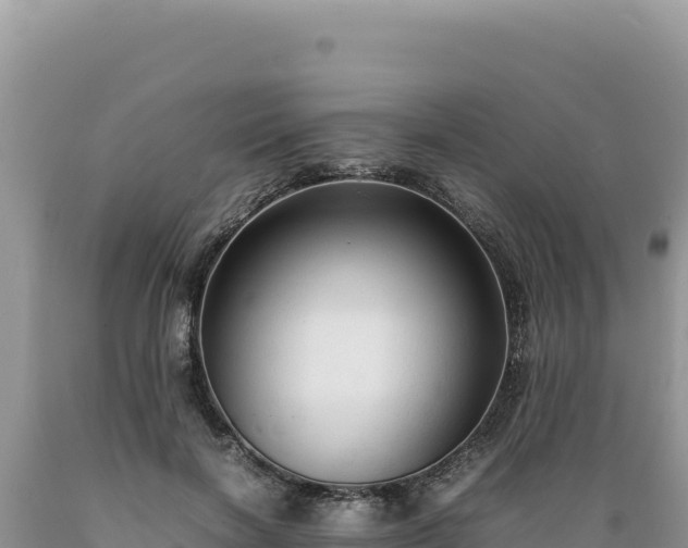 X0000089360646200706221201