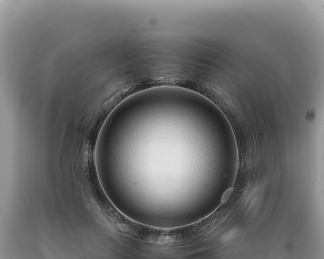 X0000089360647200706221201