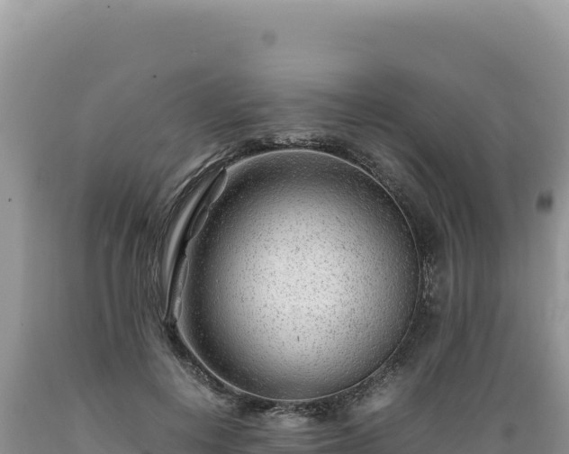 X0000089360648200706221201