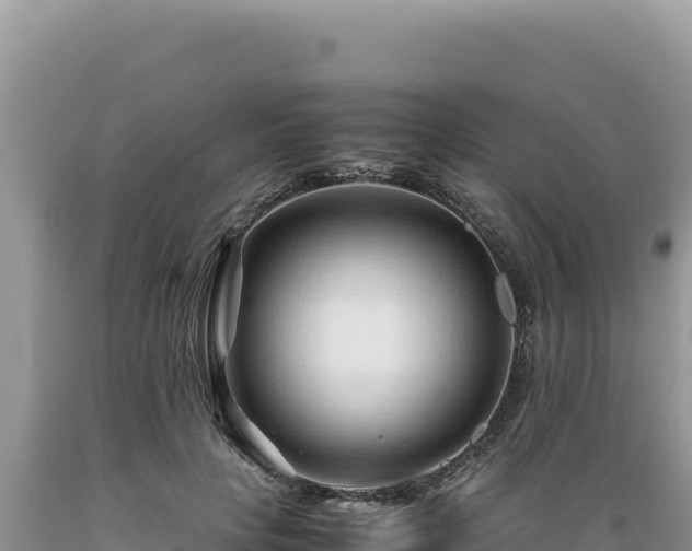 X0000089360649200706221201